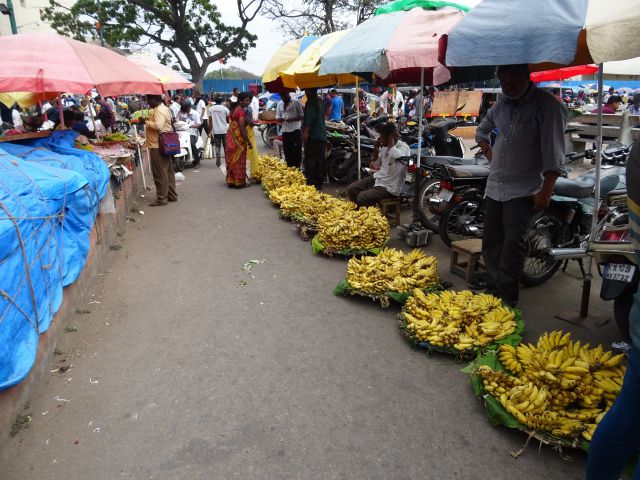 Mysore